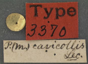 Media type: image;   Entomology 3370 Aspect: labels